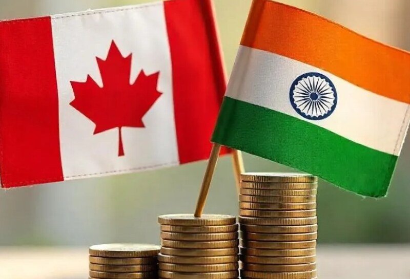 एक्सप्रेस एंट्री में बदलाव की आहट, कनाडा में PR पाना हो सकता है मुश्किल