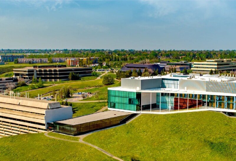 कनाडा में Frances Widdowson अतिक्रमण मामले में गिरफ्तार, University of Lethbridge परिसर में घुसने पर जुर्माना