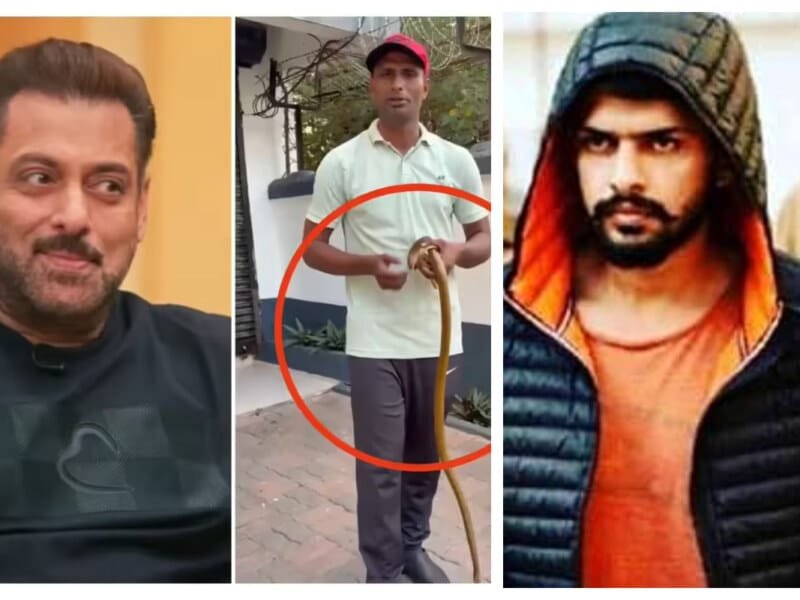 Salman Khan के घर में घुसा सांप, वायरल वीडियो पर फैंस बोले- लॉरेंस बिश्‍नोई यहां कैसे पहुंचा?