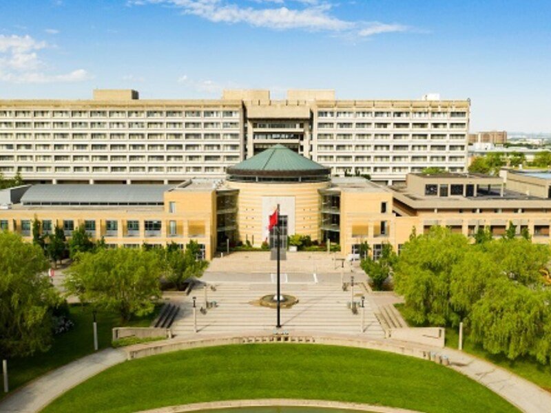 कनाडा की York University का बड़ा ऑफर, भारतीयों को पढ़ाई के लिए ₹25 लाख तक स्कॉलरशिप