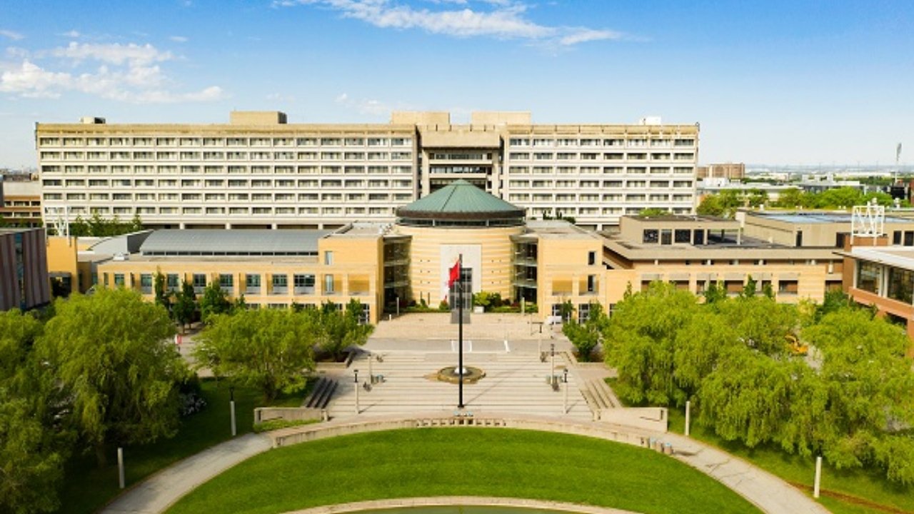 कनाडा की York University का बड़ा ऑफर, भारतीयों को पढ़ाई के लिए ₹25 लाख तक स्कॉलरशिप 1 york