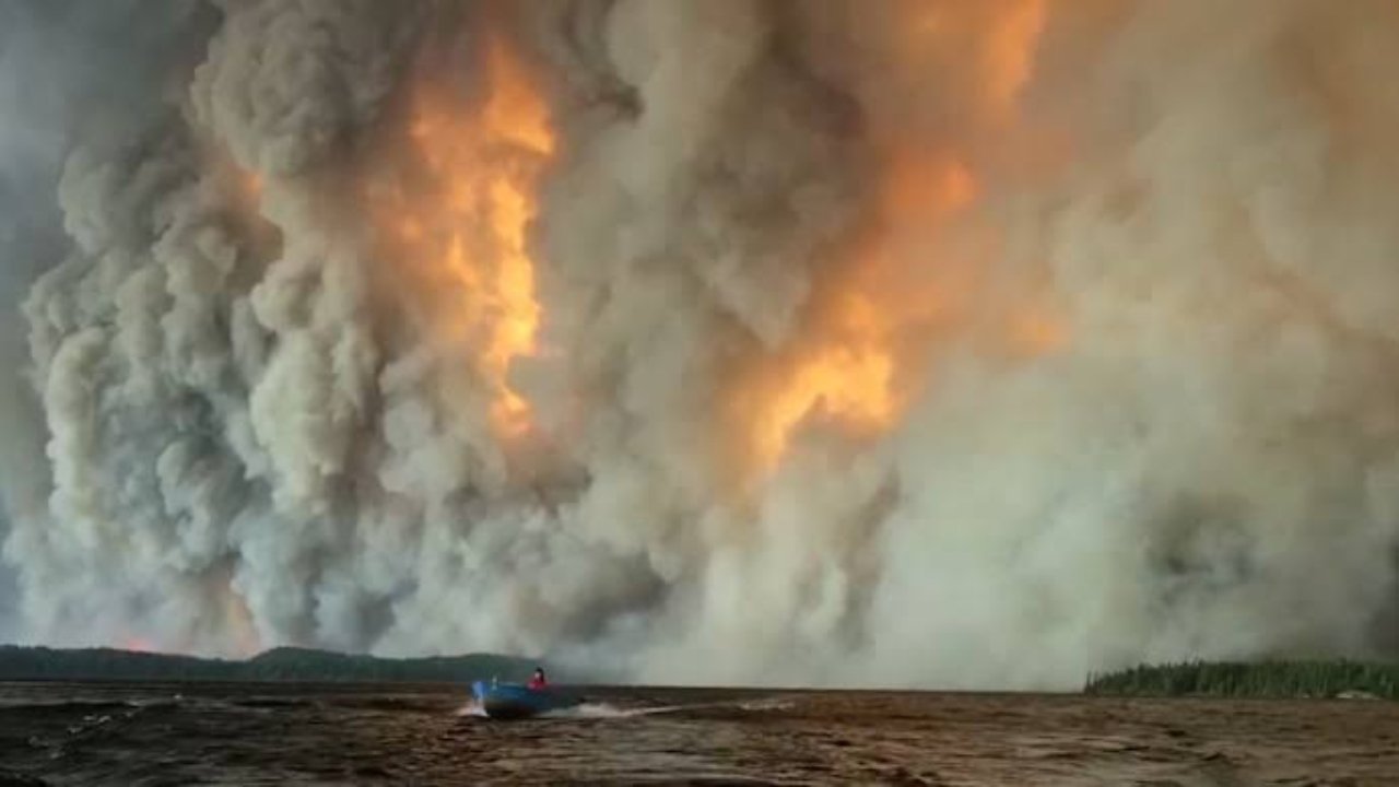 Canada Wild Fires: कनाडा के जंगलों में बढ़ती आग का संकट, क्या इसे रोकने में नाकाम हो रही सरकार? 1 WILD