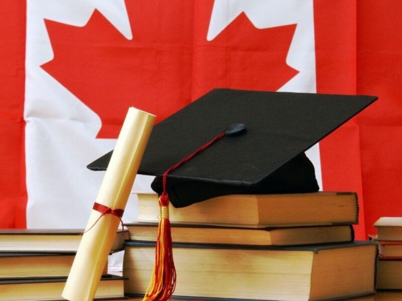 Study in Canada: एडमिशन दिलाने के नाम पर ₹12 लाख की ठगी, एक्सपर्ट ने दी जरूरी सलाह