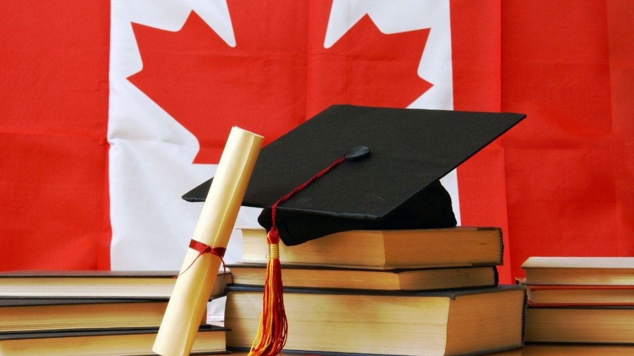 Study in Canada: एडमिशन दिलाने के नाम पर ₹12 लाख की ठगी, एक्सपर्ट ने दी जरूरी सलाह 1 chk