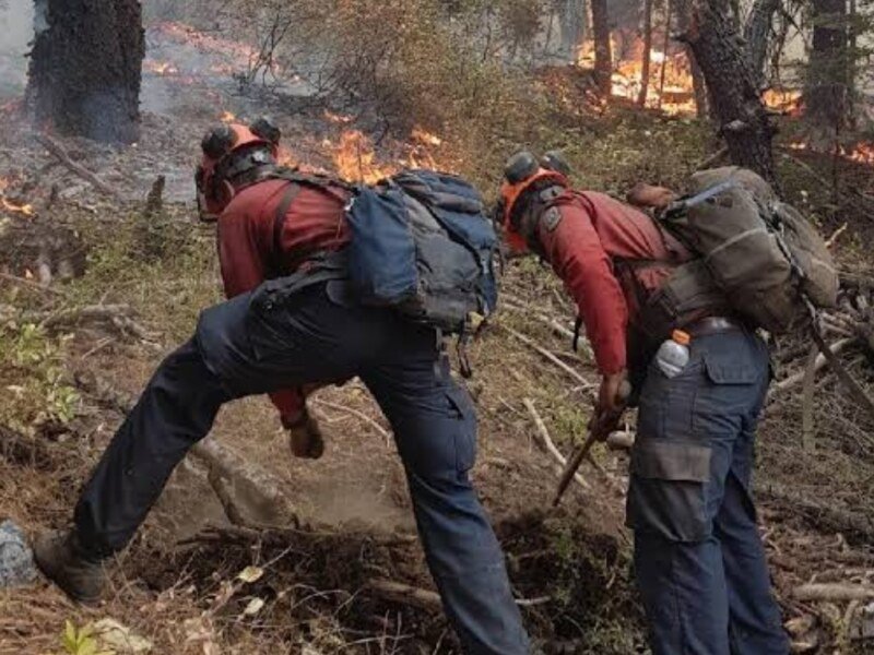 Canadian Interagency Forest Fire Centre: कनाडा में जंगलों की आग से उठता है खतरनाक तूफान! जानें कैसे बनती है बिजली और पायरो टॉरनेडो
