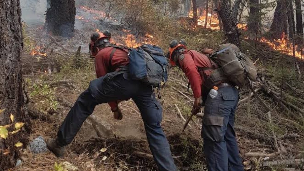 Canadian Interagency Forest Fire Centre: कनाडा में जंगलों की आग से उठता है खतरनाक तूफान! जानें कैसे बनती है बिजली और पायरो टॉरनेडो 1 firee