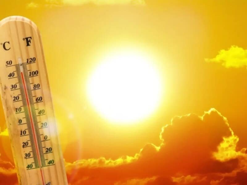 US Canada Mexico: भीषण गर्मी से उत्तरी अमेरिका बेहाल, US-कनाडा-मैक्सिको में हेल्थ अलर्ट जारी