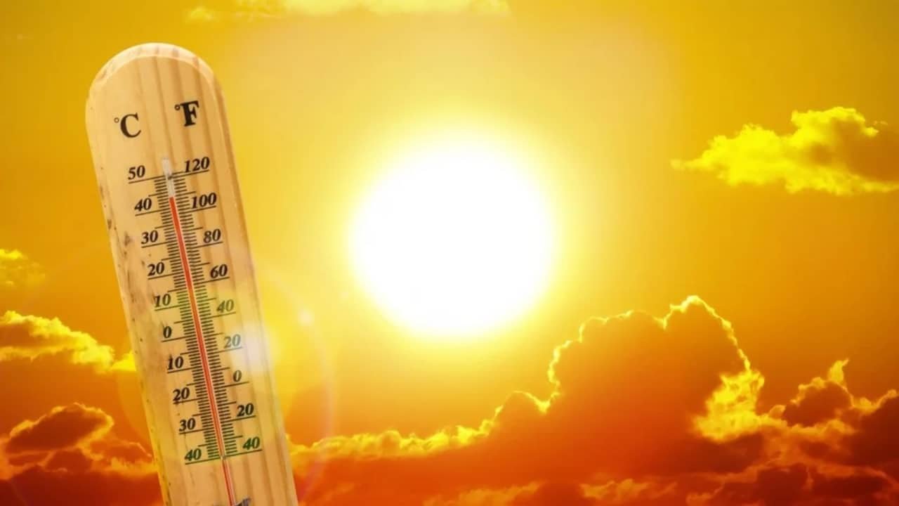 US Canada Mexico: भीषण गर्मी से उत्तरी अमेरिका बेहाल, US-कनाडा-मैक्सिको में हेल्थ अलर्ट जारी 1 heat