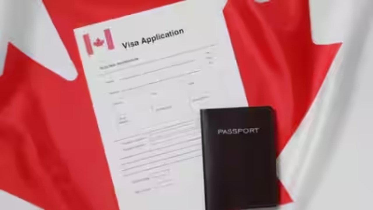 visa 1