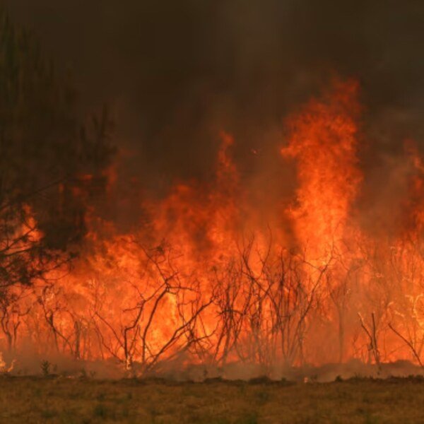 Wildfires Rage In France: फ्रांस और स्पेन में धधक रहे जंगल, 2.5 लाख से अधिक लोगों को सुरक्षित जगह पहुंचाया गया