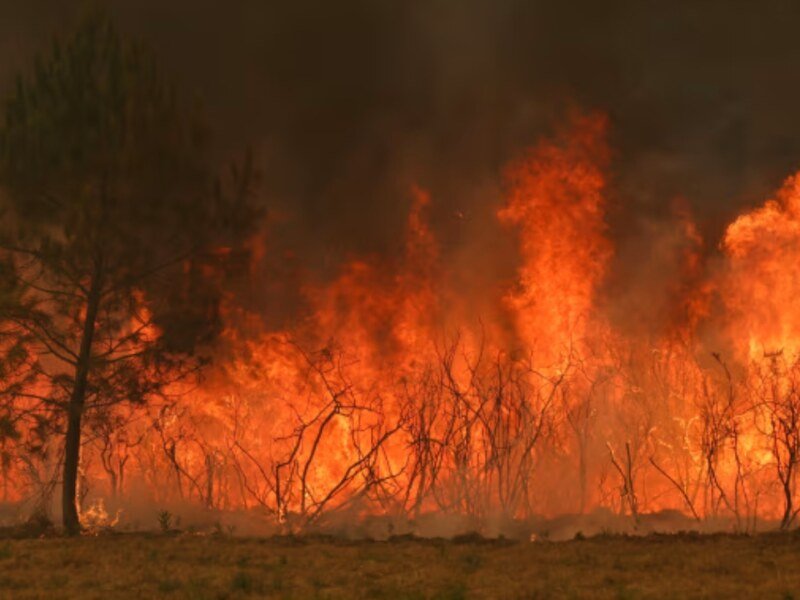 Wildfires Rage In France: फ्रांस और स्पेन में धधक रहे जंगल, 2.5 लाख से अधिक लोगों को सुरक्षित जगह पहुंचाया गया