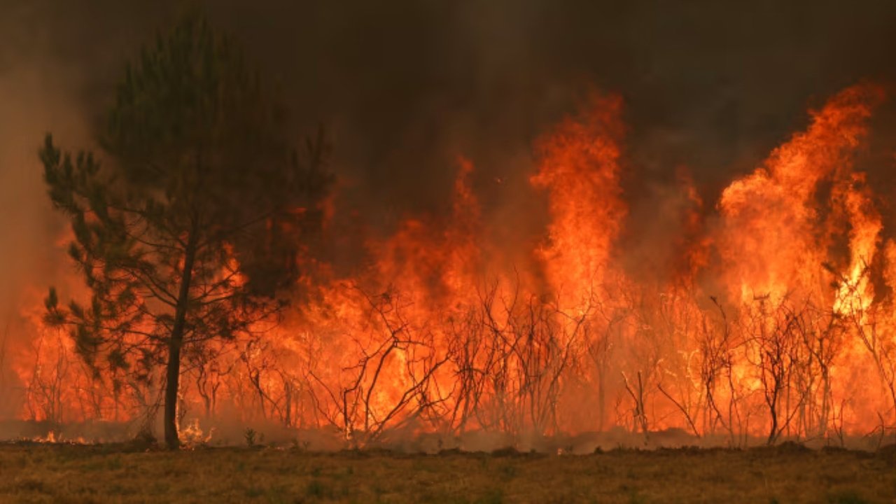 wfire